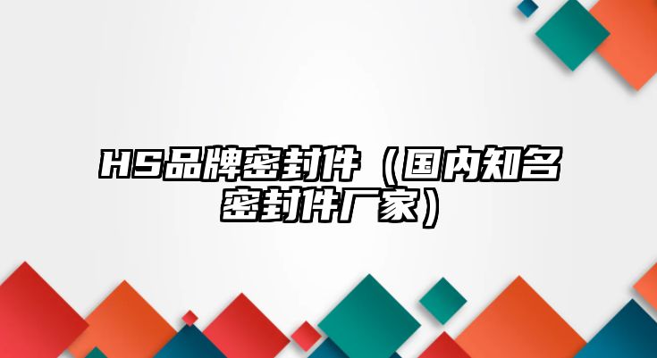 HS品牌密封件（國(guó)內(nèi)知名密封件廠家）