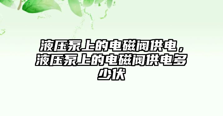 液壓泵上的電磁閥供電，液壓泵上的電磁閥供電多少伏