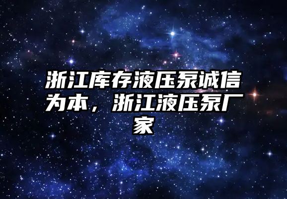 浙江庫存液壓泵誠信為本，浙江液壓泵廠家