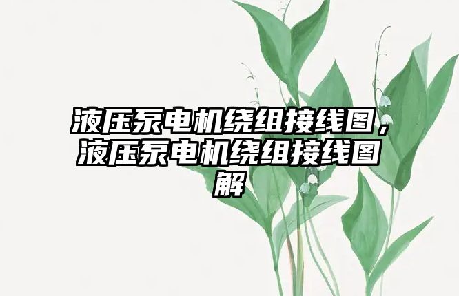 液壓泵電機繞組接線圖，液壓泵電機繞組接線圖解