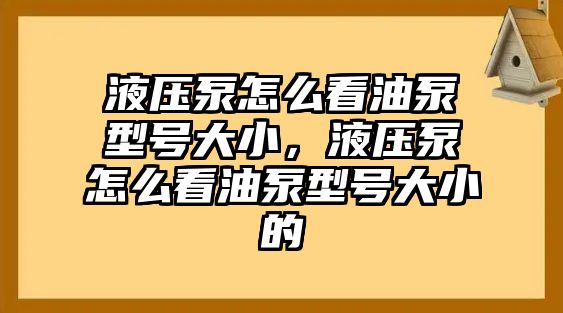 液壓泵怎么看油泵型號大小，液壓泵怎么看油泵型號大小的