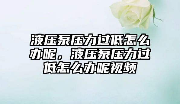 液壓泵壓力過低怎么辦呢，液壓泵壓力過低怎么辦呢視頻