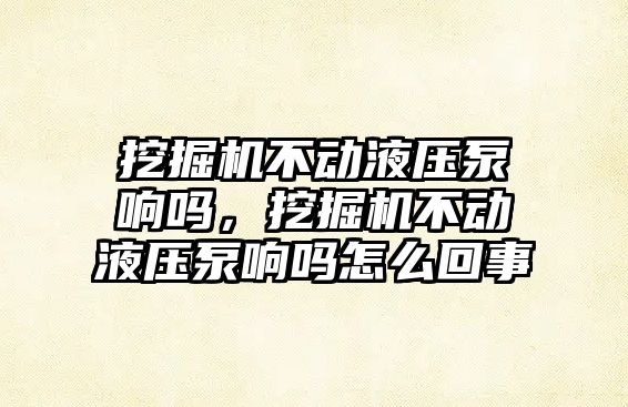 挖掘機(jī)不動(dòng)液壓泵響嗎，挖掘機(jī)不動(dòng)液壓泵響嗎怎么回事