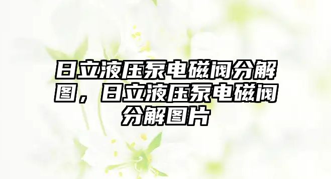 日立液壓泵電磁閥分解圖，日立液壓泵電磁閥分解圖片