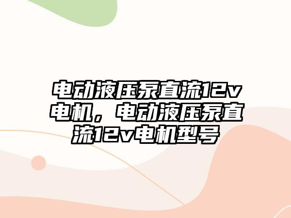 電動液壓泵直流12v電機，電動液壓泵直流12v電機型號
